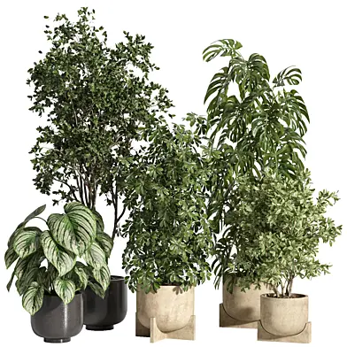 indoor plant set 96 Concrete and ceramic