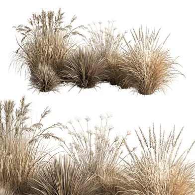 Mixed Pampas Dry Plant Bush 167