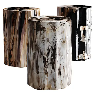 Petrified Wood Side Table