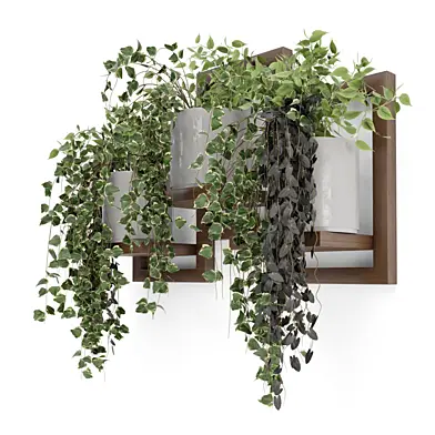 Hanging Plants On Wooden Pot Base_Set 3333