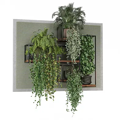 indoor hanging plants in metal shelf 1973