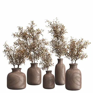 Olive dried Indoor plant set 2