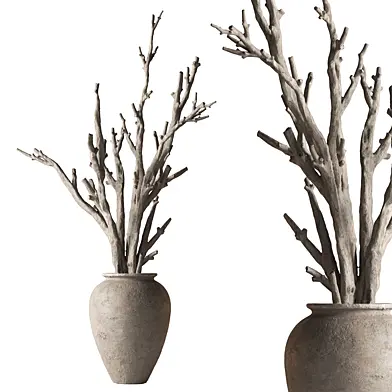 Indoor Plant 931 - Dry Trunk Tree