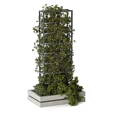 Outdoor Hanging Plants Landscape Garden 239