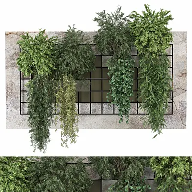 indoor hanging Plants Collection 1987