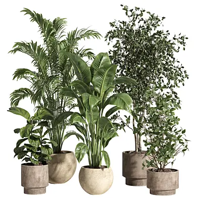 indoor plant set 97 Concrete pot