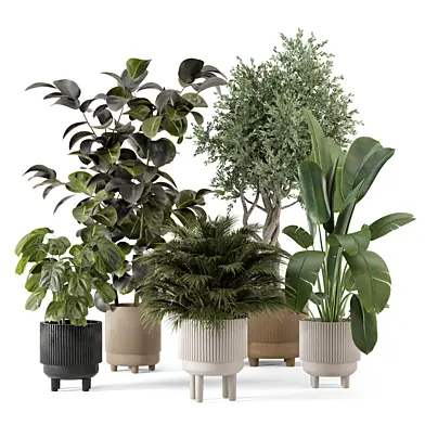 Plants in Standing Legs Small Bowl Pot_Set 3376
