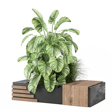 outdoor Plants Collection 1993
