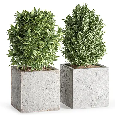 Outdoor Plants Bush in Concrete Pot Set 001