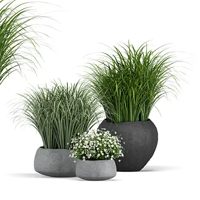 Treez set 72