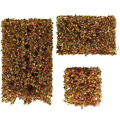 Bush 01