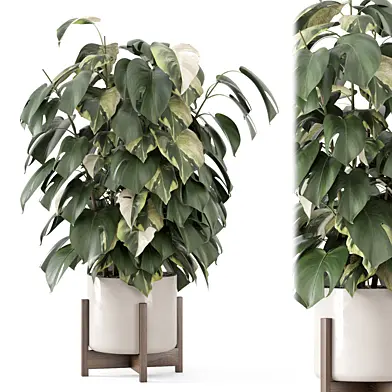Indoor Plants in Ferm Living Bau Pot Large_Set 3429