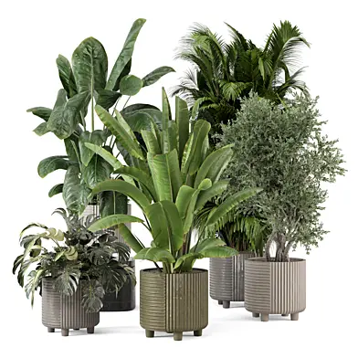 Indoor Plants in Rusty Concrete Pot_Set 3431