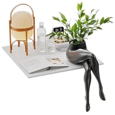 Stylish Minimalist Desk Setup with Human Shaped Plant