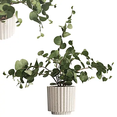 Bouquet of Flowers Branches in Vase 46