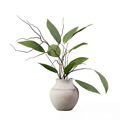 Plant Bouquet 23