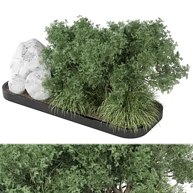 bush and tree plants 2076