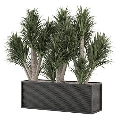 Outdoor Yuka Plants in Metal Pots_Set 3554
