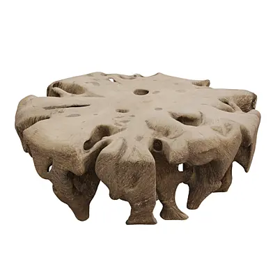 Andrianna Shamaris Teak Root Coffee Table V3