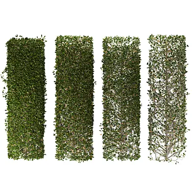 bush 03