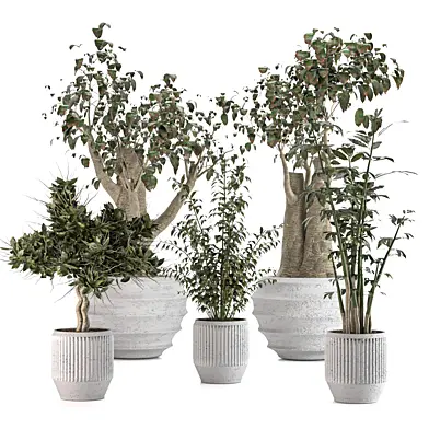 Indoor plant set 010