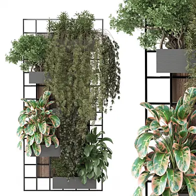 indoor hanging Plants wooden shelf 2091