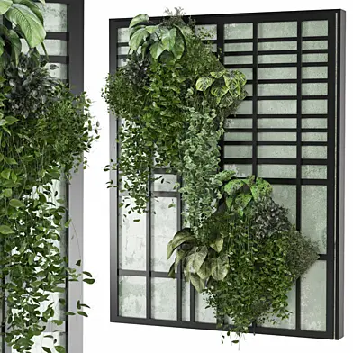 indoor hanging plants in metal shelf 2092