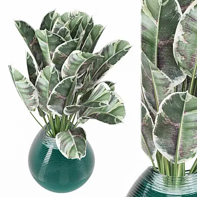 indoor Plants Collection 2102