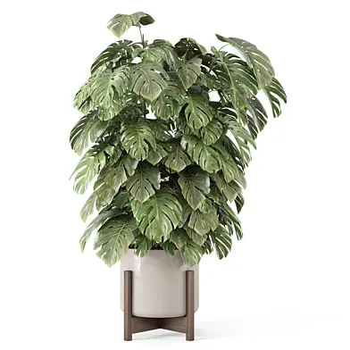 Indoor Plants in Ferm Living Bau Pot Large_Set 3595