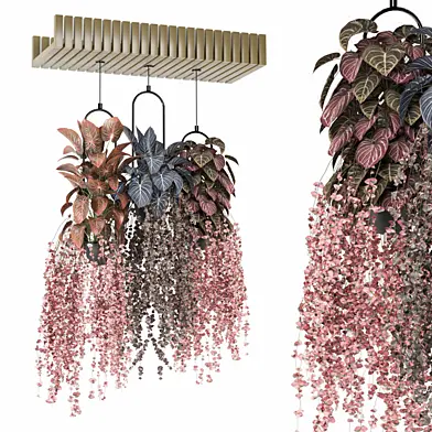 indoor hanging plants in metal box 2118