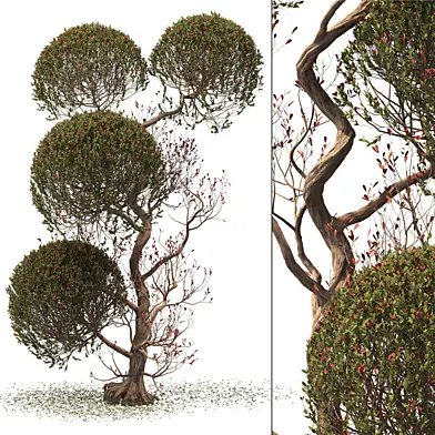 Tree 025