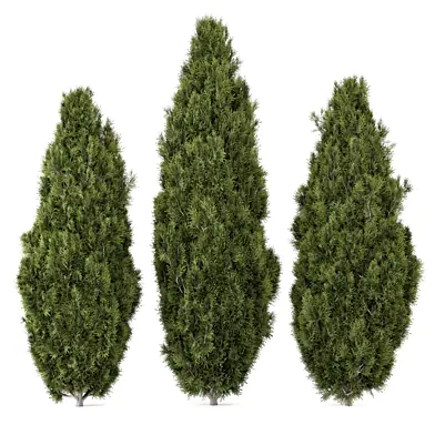 Outdoor Pine Plants Bush_Bush Set 3619
