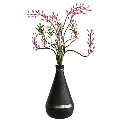 decorative plant