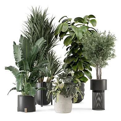 Indoor Plants in Ferm Living Bau Pot Large_Set 3642