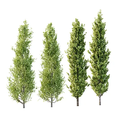 Different Trees 33