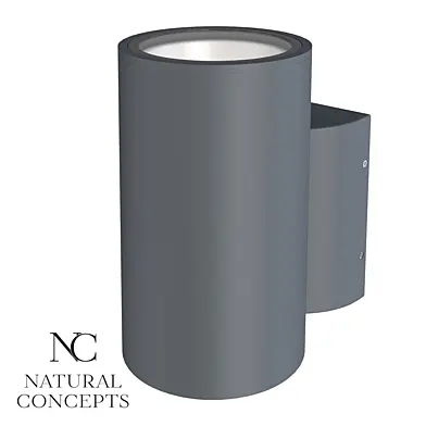 Natural Concepts Настенный фонарь Dwell NC-803073-DG