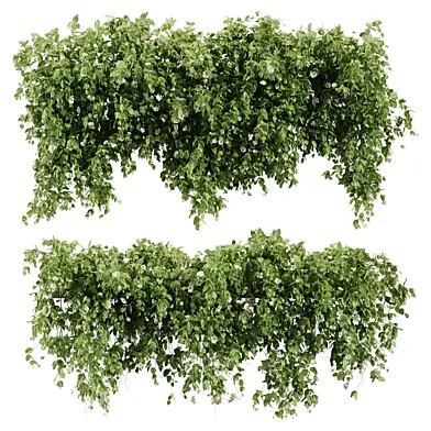 Hanging Ivy Set 02