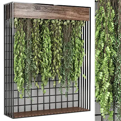 indoor hanging Plants Collection 2146