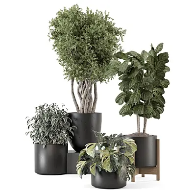 Indoor Plants Concrete Pots_Set 3669