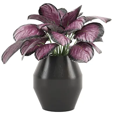 Indoor Plants Set 0164