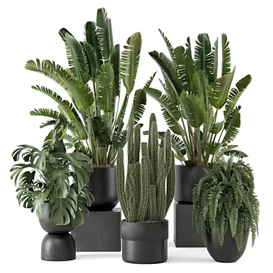 Indoor Plants in Ferm Living Bau Pot Large_Set 3707