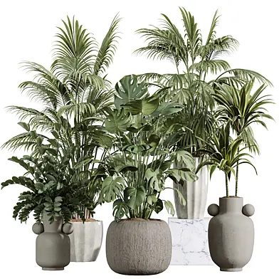 AV Indoor Plants Set 397 Zamiifolia and Giant Monstera and Dracaena Warneckii Lemon and Areca Palm