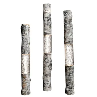 Birch tree floor Light