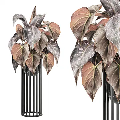 Indoor Plants Collection 1381