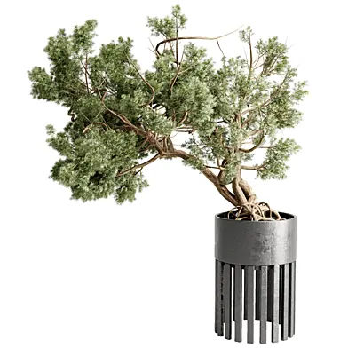 Bonsai Tree in a stand metal pot - Indoor Plant 709