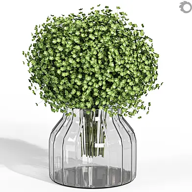 Bouquet Plant 11