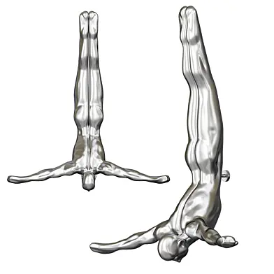 Silver-Diver