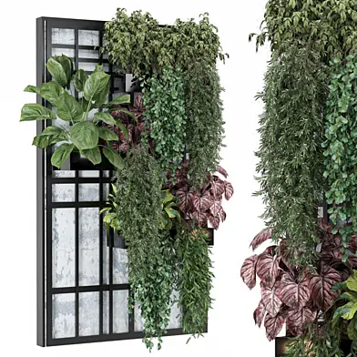 indoor hanging Plants Collection 2196