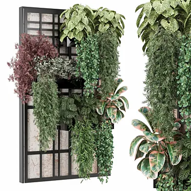 indoor hanging Plants Collection 2198
