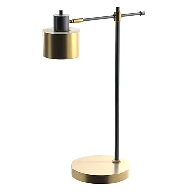 Metal Gold Reading Desk Lamp